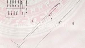 Bán đất lúa Đường 1, Xã Tân Thạnh Đông, Huyện Củ Chi. DT: 10m x 70m, diện tích: 700m2 giá: 1.9 tỷ, 2.64 triệu/m2, 185 triệu/mét ngang