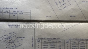 Bán đất thổ Đường 1, Xã Phú Hòa Đông, Huyện Củ Chi. DT: 30m x 60m, diện tích: 1800m2 giá: 6.0 tỷ