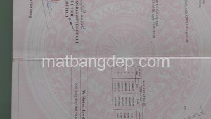 Bán đất vườn Đường 1, Xã Bình Mỹ, Huyện Củ Chi. DT: 25m x 40m, diện tích: 1000m2 giá: 4.0 tỷ