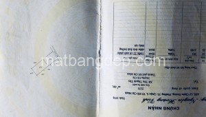 Bán đất vườn Đường 1, Xã Tân Thạnh Tây, Huyện Củ Chi. DT: 40m x 55m, diện tích: 2200m2 giá: 3.2 tỷ
