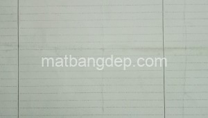 Bán đất thổ Đường 1, Xã Tân Thông Hội, Huyện Củ Chi. DT: 22m x 22m, diện tích: 484m2 giá: 3.5 tỷ