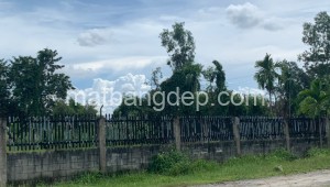 Bán đất vườn Đường 1, Xã Bình Mỹ, Huyện Củ Chi. DT: 25m x 50m, diện tích: 1250m2 giá: 5.8 tỷ, 4.64 triệu/m2, 232 triệu/mét ngang