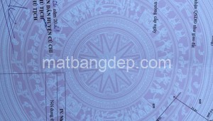Bán đất vườn Đường 1, Xã Tân Thạnh Đông, Huyện Củ Chi. DT: 20m x 30m, diện tích: 600m2 giá: 3.5 tỷ, 5.83 triệu/m2, 175 triệu/mét ngang