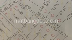 Bán đất vườn Đường 1, Xã Tân Thạnh Tây, Huyện Củ Chi. DT: 16m x 65m, diện tích: 1040m2 giá: 2.9 tỷ