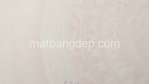 Bán nhà mặt tiền 13_48 Đường Nguyễn Văn Khạ, Xã Phú Hòa Đông, Huyện Củ Chi. DT: 15m x 40m, diện tích: 537m2 giá: 5.2 tỷ