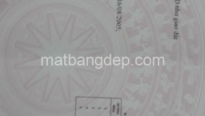 Bán đất thổ Đường 1, Xã An Phú, Huyện Củ Chi. DT: 40m x 40m, diện tích: 1600m2 giá: 8.5 tỷ, 5.31 triệu/m2, 212.5 triệu/mét ngang