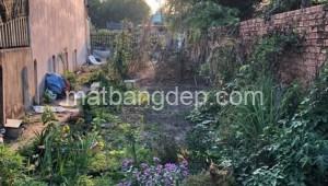 Bán đất thổ Đường 1, Xã Tân Thạnh Tây, Huyện Củ Chi. DT: 6m x 27m, diện tích: 162m2 giá: 2.5 tỷ, 15.43 triệu/m2, 416.67 triệu/mét ngang