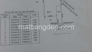 Bán đất thổ Đường Võ Văn Điều, Xã Trung Lập Thượng, Huyện Củ Chi. DT: 30m x 60m, diện tích: 1800m2 giá: 7.5 tỷ, 4.17 triệu/m2, 250 triệu/mét ngang