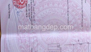 Bán đất vườn Đường 1, Xã Thái Mỹ, Huyện Củ Chi. DT: 25m x 42m, diện tích: 1050m2 giá: 1.5 tỷ