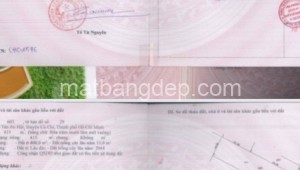 Bán đất thổ Đường 1, Xã Tân An Hội, Huyện Củ Chi. DT: 17m x 40m, diện tích: 705m2 giá: 14.0 tỷ, 19.86 triệu/m2, 823.53 triệu/mét ngang