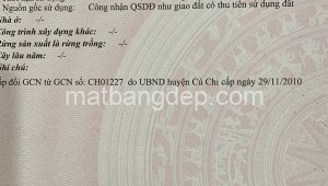 Bán đất thổ Đường 1, Xã Tân Thông Hội, Huyện Củ Chi. DT: 21m x 55m, diện tích: 1155m2 giá: 10.0 tỷ, 8.66 triệu/m2, 476.19 triệu/mét ngang