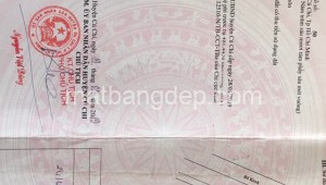 Bán đất thổ Đường 1, Xã Phú Mỹ Hưng, Huyện Củ Chi. DT: 20m x 28m, diện tích: 560m2 giá: 2.5 tỷ, 4.46 triệu/m2, 125 triệu/mét ngang