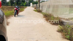 Bán đất thổ Đường 1, Xã Phước Vĩnh An, Huyện Củ Chi. DT: 10m x 50m, diện tích: 500m2 giá: 2.3 tỷ, 4.6 triệu/m2, 230 triệu/mét ngang