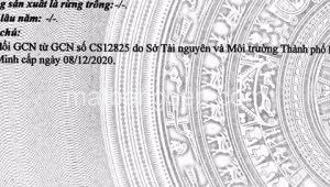 Bán đất thổ Đường 1, Xã Tân Thông Hội, Huyện Củ Chi. DT: 5m x 70m, diện tích: 350m2 giá: 4.5 tỷ, 12.86 triệu/m2, 900 triệu/mét ngang