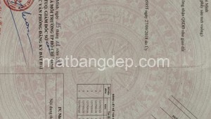 Bán đất thổ Đường Nguyễn Thị Nê, Xã Phú Hòa Đông, Huyện Củ Chi. DT: 10m x 30m, diện tích: 300m2 giá: 4.0 tỷ, 13.33 triệu/m2, 400 triệu/mét ngang