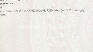 Bán đất thổ Đường 1, Xã Trung An, Huyện Củ Chi. DT: 33m x 90m, diện tích: 2970m2 giá: 44.0 tỷ, 14.81 triệu/m2, 1333.33 triệu/mét ngang