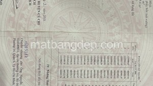 Bán đất thổ Đường 1, Xã An Nhơn Tây, Huyện Củ Chi. DT: 100m x 17m, diện tích: 1700m2 giá: 5.7 tỷ, 3.35 triệu/m2, 57 triệu/mét ngang