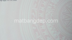 Bán đất thổ Đường 1, Xã Phú Hòa Đông, Huyện Củ Chi. DT: 8m x 60m, diện tích: 480m2 giá: 2.850 tỷ, 5.94 triệu/m2, 356.25 triệu/mét ngang