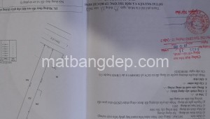 Bán đất vườn Đường Tỉnh lộ 8, Xã Tân Thạnh Tây, Huyện Củ Chi. DT: 8m x 70m, diện tích: 560m2 giá: 8.0 tỷ, 14.29 triệu/m2, 1000 triệu/mét ngang