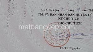 Bán đất thổ Đường 1, Xã Tân Thạnh Đông, Huyện Củ Chi. DT: 30m x 26m, diện tích: 780m2 giá: 3.150 tỷ