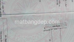 Bán đất thổ Đường 1, Xã Nhuận Đức, Huyện Củ Chi. DT: 123m x 100m, diện tích: 12300m2 giá: 65.0 tỷ, 5.28 triệu/m2, 528.46 triệu/mét ngang