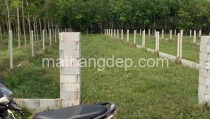 Bán đất vườn Đường 1, Xã Phú Mỹ Hưng, Huyện Củ Chi. DT: 9m x 75m, diện tích: 675m2 giá: 2.0 tỷ, 2.96 triệu/m2, 222.22 triệu/mét ngang