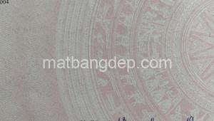 Bán đất vườn Đường 1, Xã Trung Lập Hạ, Huyện Củ Chi. DT: 25m x 135m, diện tích: 3375m2 giá: 13.0 tỷ, 3.85 triệu/m2, 520 triệu/mét ngang