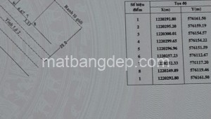 Bán đất thổ Đường Tỉnh Lộ 2, Xã Trung Lập Hạ, Huyện Củ Chi. DT: 8m x 75m, diện tích: 600m2 giá: 5.5 tỷ, 9.17 triệu/m2, 687.5 triệu/mét ngang