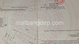 Bán đất thổ Đường Tỉnh lộ 8, Xã Hòa Phú, Huyện Củ Chi. DT: 20m x 36m, diện tích: 720m2 giá: 20.8 tỷ, 28.89 triệu/m2, 1040 triệu/mét ngang