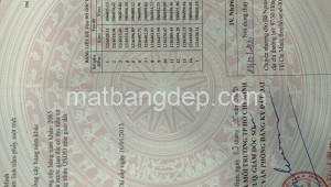 Bán đất thổ Đường 1, Xã Phú Hòa Đông, Huyện Củ Chi. DT: 40m x 105m, diện tích: 4200m2 giá: 20.5 tỷ, 4.88 triệu/m2, 512.5 triệu/mét ngang