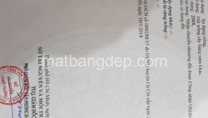 Bán đất thổ Đường 1, Xã Thái Mỹ, Huyện Củ Chi. DT: 23m x 75m, diện tích: 1725m2 giá: 8.0 tỷ, 4.64 triệu/m2, 347.83 triệu/mét ngang