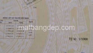 Bán đất thổ Đường 1, Xã Phước Thạnh, Huyện Củ Chi. DT: 15m x 20m, diện tích: 300m2 giá: 2.5 tỷ, 8.33 triệu/m2, 166.67 triệu/mét ngang