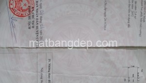 Bán đất thổ Đường 1, Xã Tân Thạnh Đông, Huyện Củ Chi. DT: 7m x 17m, diện tích: 119m2 giá: 2.6 tỷ