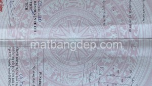 Bán đất thổ Đường 1, Xã Hòa Phú, Huyện Củ Chi. DT: 5m x 23m, diện tích: 115m2 giá: 2.550 tỷ, 22.17 triệu/m2, 510 triệu/mét ngang