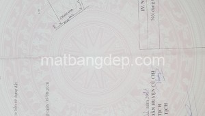 Bán đất lúa Đường 1, Xã Trung Lập Hạ, Huyện Củ Chi. DT: 25m x 45m, diện tích: 1125m2 giá: 2.150 tỷ, 1.91 triệu/m2, 86 triệu/mét ngang