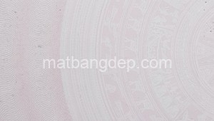 Bán nhà mặt tiền 127_14 Đường 1, Xã Thái Mỹ, Huyện Củ Chi. DT: 38m x 60m, diện tích: 2280m2 giá: 6.7 tỷ