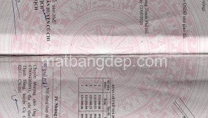 Bán đất vườn Đường 1, Xã Tân Thạnh Đông, Huyện Củ Chi. DT: 11m x 57m, diện tích: 627m2 giá: 1.3 tỷ, 2.07 triệu/m2, 118.18 triệu/mét ngang