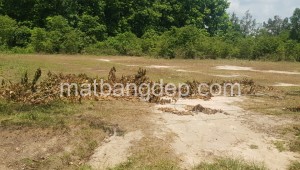 Bán đất thổ Đường 1, Xã Phú Hòa Đông, Huyện Củ Chi. DT: 40m x 65m, diện tích: 2600m2 giá: 16.0 tỷ, 6.15 triệu/m2, 400 triệu/mét ngang
