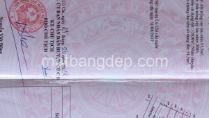 Bán đất thổ Đường 1, Xã Tân An Hội, Huyện Củ Chi. DT: 10m x 20m, diện tích: 200m2 giá: 3.0 tỷ