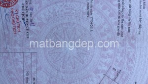 Bán đất vườn Đường 1, Xã Tân Thạnh Đông, Huyện Củ Chi. DT: 40m x 50m, diện tích: 2000m2 giá: 3.0 tỷ, 1.5 triệu/m2, 75 triệu/mét ngang