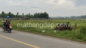 Bán đất thổ 2 mặt tiền Đường Lê Minh Nhựt, Xã Tân Thông Hội, Huyện Củ Chi. DT: 100m x 50m, diện tích: 5000m2 giá: 30.0 tỷ