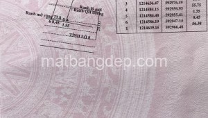Bán đất thổ Đường Tỉnh lộ 8, Xã Hòa Phú, Huyện Củ Chi. DT: 9m x 57m, diện tích: 513m2 giá: 10.5 tỷ