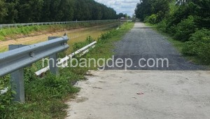 Bán đất vườn Đường 1, Xã Trung Lập Thượng, Huyện Củ Chi. DT: 100m x 100m, diện tích: 10000m2 giá: 12.0 tỷ, 1.2 triệu/m2, 120 triệu/mét ngang