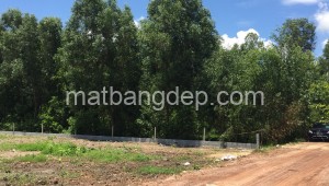Bán nhà mặt tiền 170_16 Đường 1, Xã Thái Mỹ, Huyện Củ Chi. DT: 40m x 100m, diện tích: 4000m2 giá: 7.2 tỷ