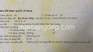 Bán đất lúa 46_38 Đường 1, Xã Phước Hiệp, Huyện Củ Chi. DT: 110m x 91m, diện tích: 10010m2 giá: 9.5 tỷ