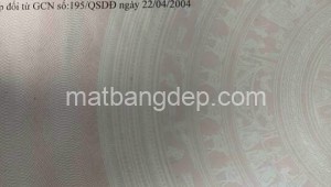 Bán đất lúa 49_69 Đường 1, Xã Tân Thông Hội, Huyện Củ Chi. DT: 110m x 86m, diện tích: 9460m2 giá: 9.5 tỷ