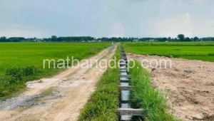 Bán đất vườn Đường 1, Xã Trung Lập Thượng, Huyện Củ Chi. DT: 12m x 42m, diện tích: 504m2 giá: 850.0 triệu, 1.69 triệu/m2, 70.83 triệu/mét ngang