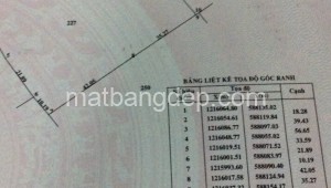 Bán đất vườn Đường 1, Xã Tân Thạnh Tây, Huyện Củ Chi. DT: 100m x 62m, diện tích: 6200m2 giá: 0.0 tỷ