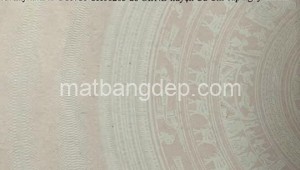 Bán đất thổ Đường 1, Xã Phú Hòa Đông, Huyện Củ Chi. DT: 10m x 55m, diện tích: 550m2 giá: 3.3 tỷ