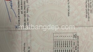 Bán đất thổ Đường Nguyễn Thị Nê, Xã Phú Hòa Đông, Huyện Củ Chi. DT: 10m x 50m, diện tích: 500m2 giá: 4.7 tỷ, 9.4 triệu/m2, 470 triệu/mét ngang